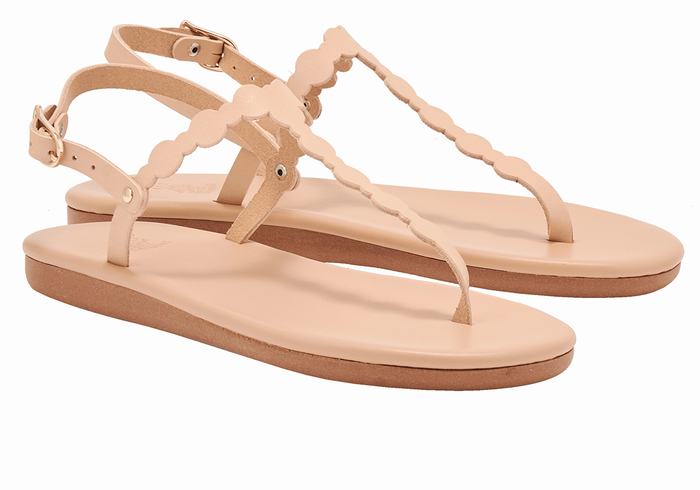 Sandales Bride Arrière Ancient Greek Sandals Velos Flip Flop   | AXV-8825263